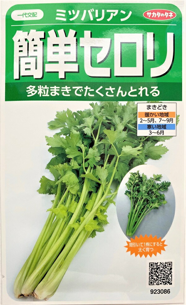 kantan-celery.jpg