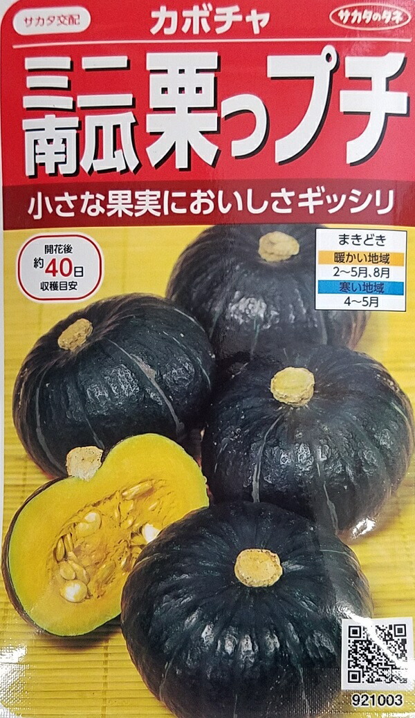 最大43%OFFクーポン〚CD615〛☆ほくほく南瓜 栗みやこ 甘太 2粒☆ 野菜の種 野菜