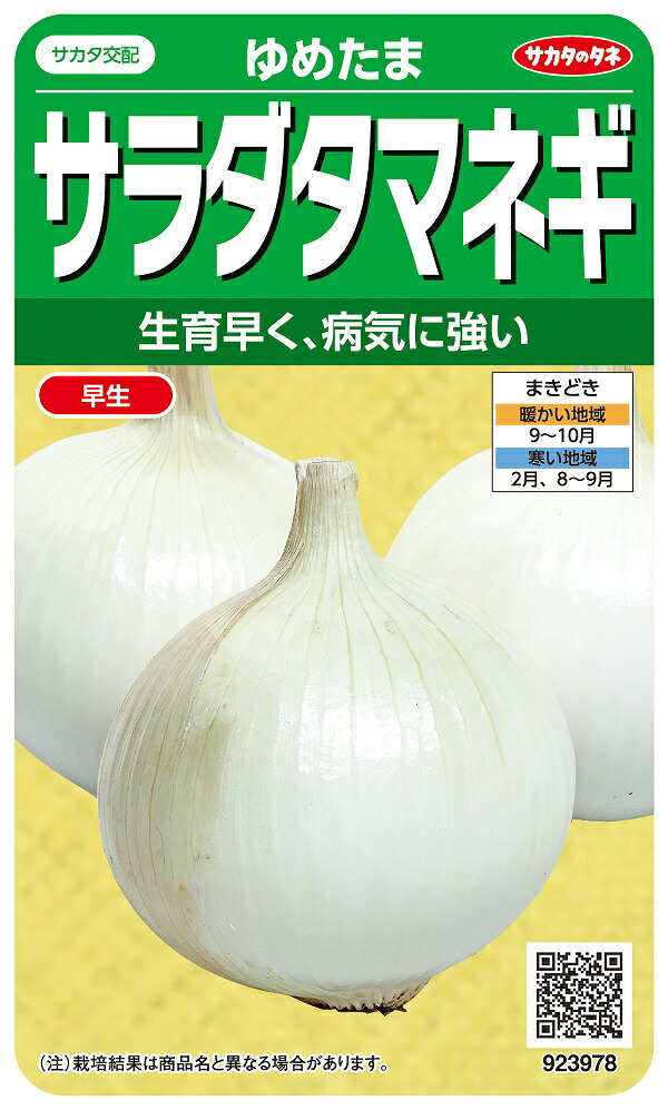 スーパーこがね タマネギ 2