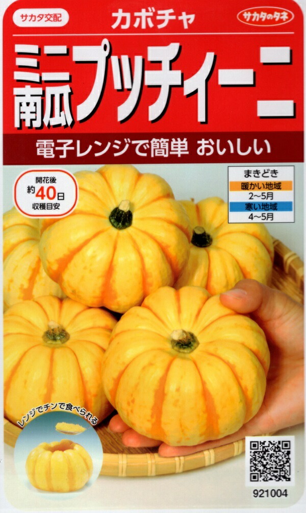 たね みかど協和 カボチャ トリート 小袋 通販