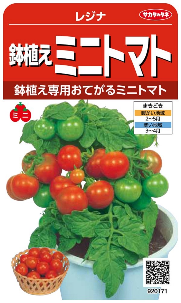 楽天市場】【種子】コクあまミニトマト キャロルパッション サカタの 