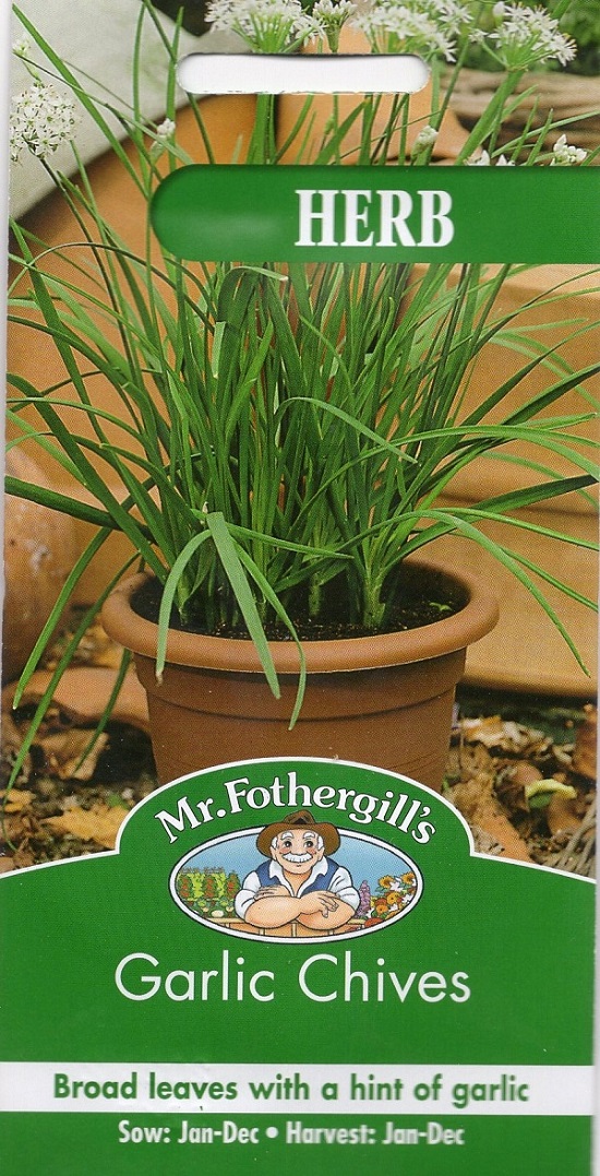 楽天市場 輸入種子 Mr Fothergill S Seedsherb Garlic Chivesハーブ ガーリック チャイブ ミスター フォザーギルズシード Ivy