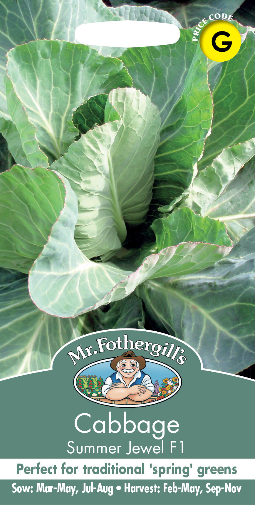 【楽天市場】【種子】Mr.Fothergill's Seeds Cabbage Summer Jewel F1 キャベッジ サマージュエル