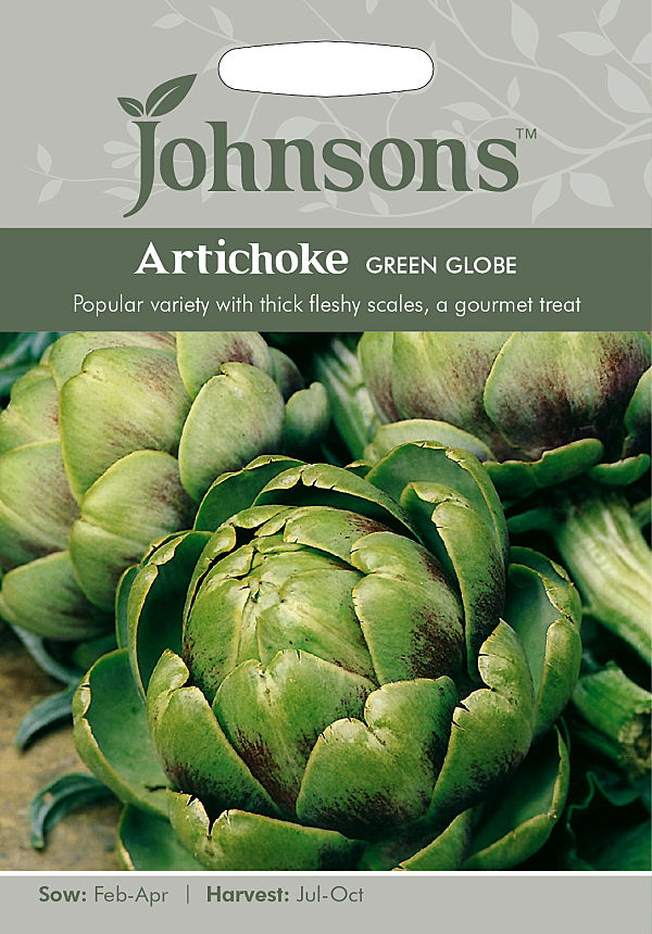 【楽天市場】【種子】Johnsons Seeds Artichoke Green Globe アーティチョーク グリーン・グローブ ジ