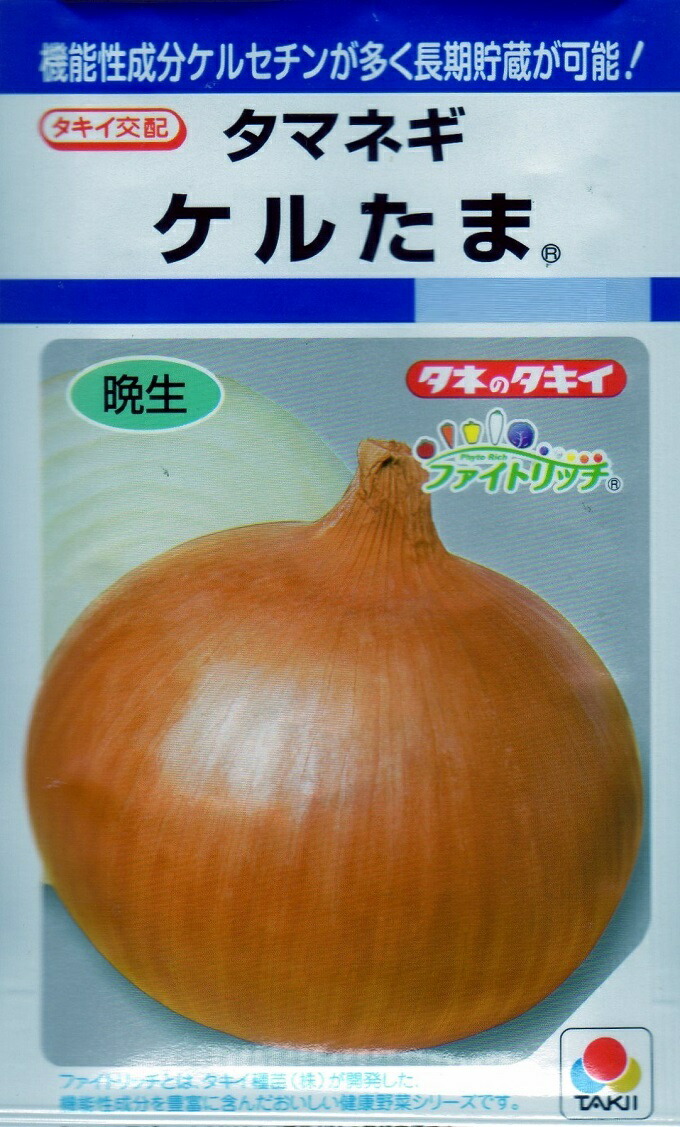 fumi　ケルタマ2,000本 楽天市場】タキイ種苗 タマネギ 玉葱 ケルたま DF : 種苗・園芸