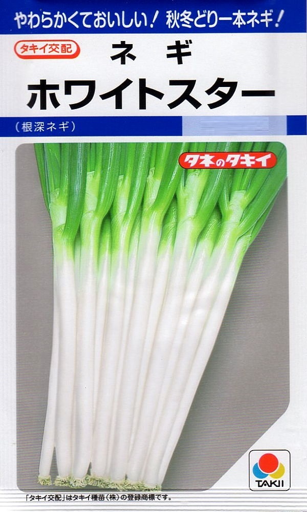 ネギ坊主様オーダー品 51NJ8+Jk3BS._AC_SY200_QL15_.jpg