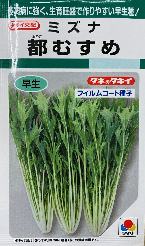 楽天市場】都むすめ 2dl 水菜 ミズナ みずな【タキイ 種 たね タネ