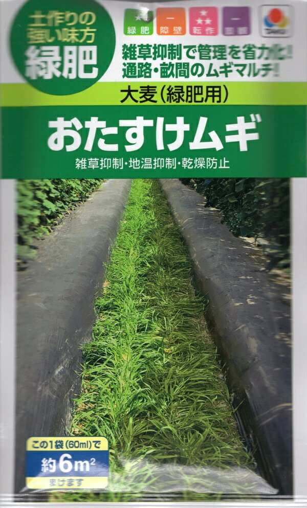 【楽天市場】野菜種子 大麦(緑肥用) おたすけムギ タキイ種苗のタネ:Ivy