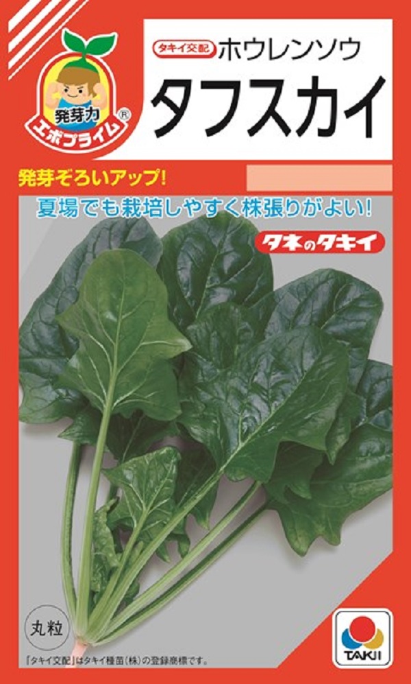 楽天市場 種子 ホウレンソウタフスカイタキイ種苗のタネ Ivy