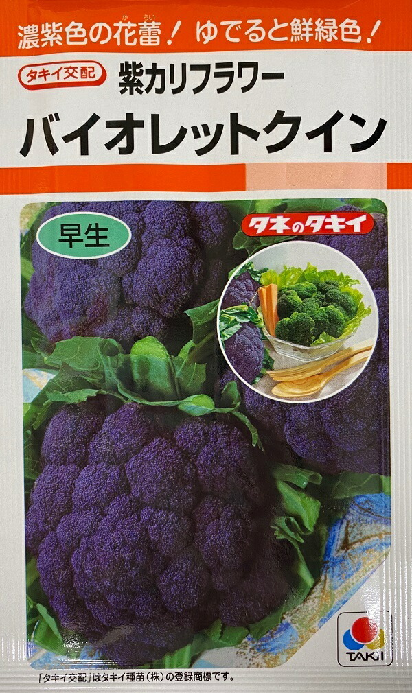 カリフラワー　パープルフラワー 種子 5ml 楽天市場】カリフラワー 種 【 パープルフラワー 】 種子 5ml