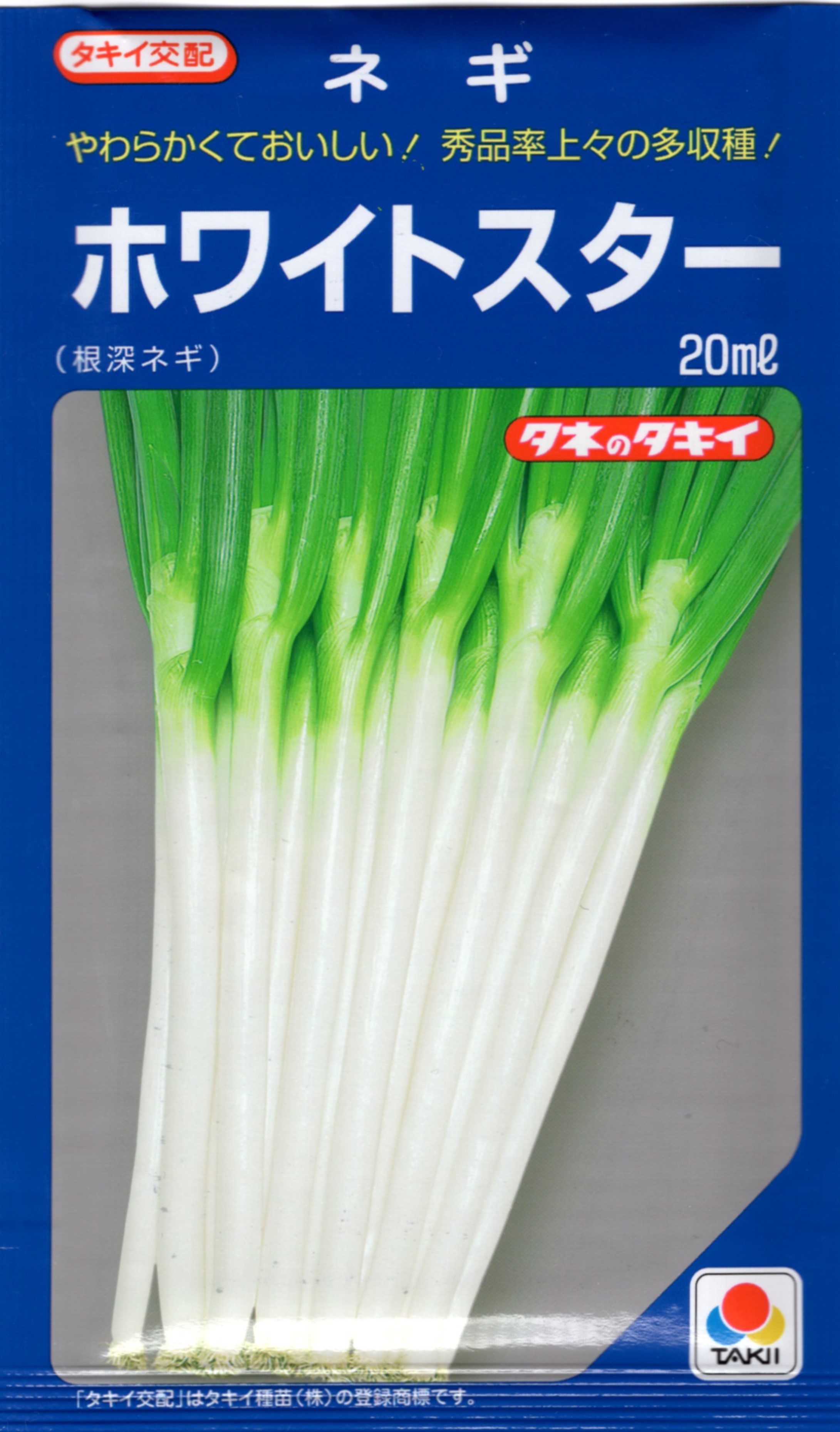 楽天市場】ねぎ 【タキイ交配 ホワイトスター(一本ねぎ)】 種・小袋