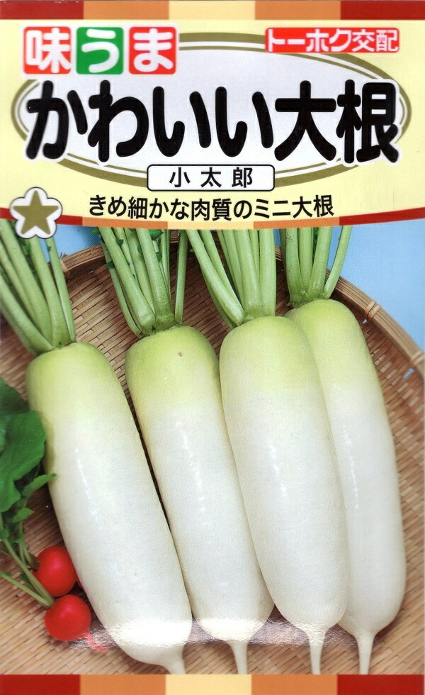 大根太郎 楽天市場】【代引不可】【送料5袋まで80円】 seed たね tane 種 種子