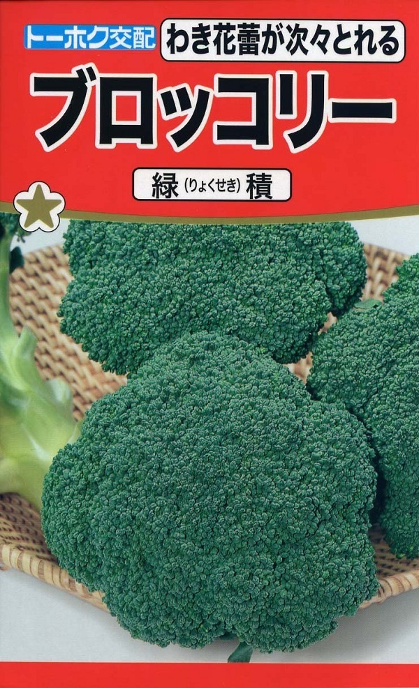 楽天市場】【種子】ブロッコリー緑積(りょくせき)トーホクのたね : 花