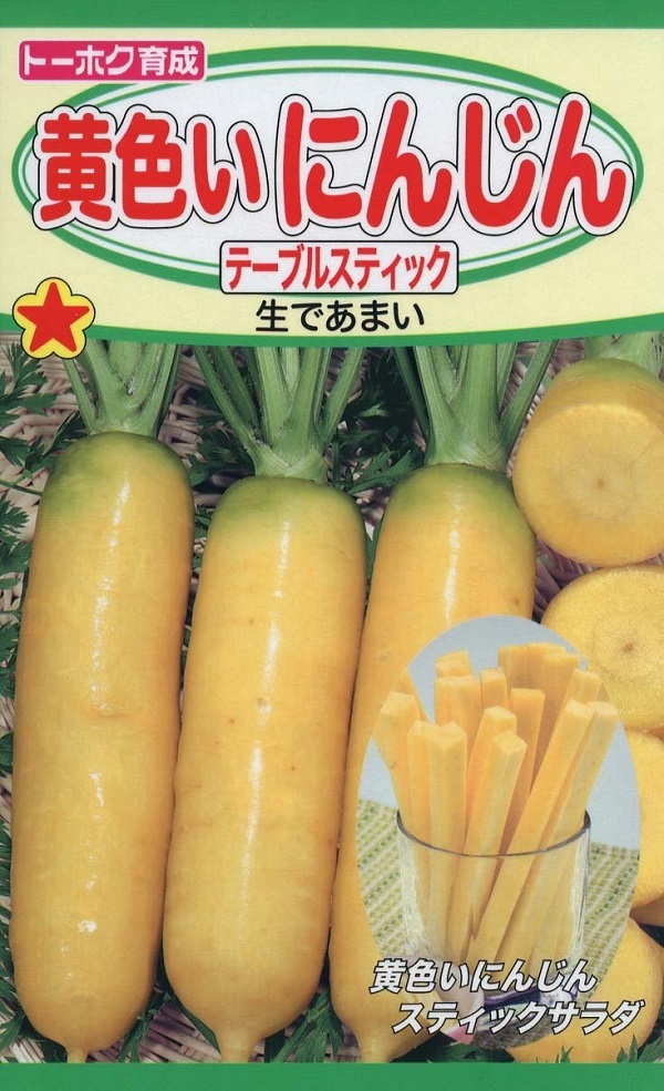 にんじん。 楽天市場】【種子】ニンジン 黒田五寸 陽彩（ようさい