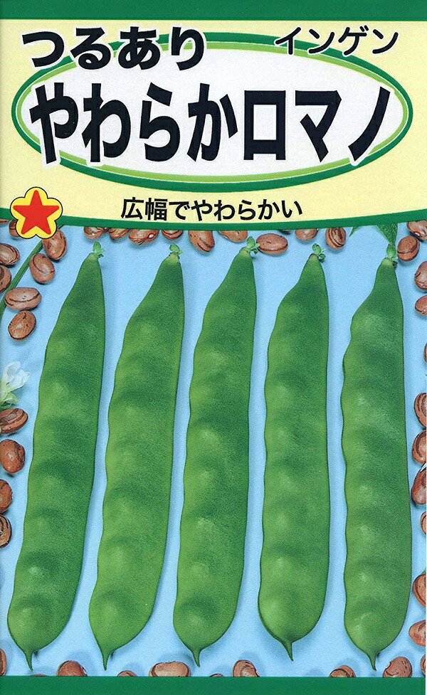 日本製 野菜の種 種子 サクサク王子 つるなしいんげん 50ml メール便発送