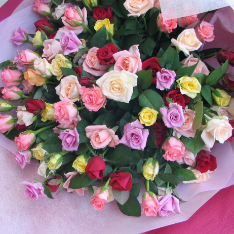 楽天市場 豪華なバラ100本の花束 フラワーショップ アイビーベリー