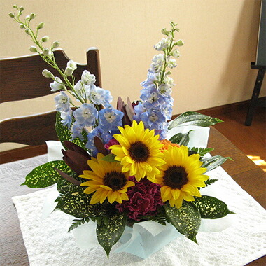 送料 冷たい雁書入り前込み 向日曜日葵 デルフィニュームの案配 華かご 4 180巡回ルート お届けは9月あかり10日まで ひまわり 生まれ落ちる日 華プレゼント 花 誕生祝 フラワー ギフト お中元 暑中お見舞 残暑見舞い Hotjobsafrica Org