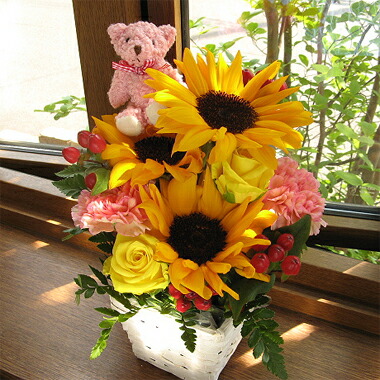 送料 クール便代金込み ヒマワリとクマさんのスクエア アレンジメント 花かご お届けは9月10日まで ひまわり 誕生日 フラワーギフト 花 誕生祝い フラワー アンセリウム ギフト お中元 暑中お見舞い 残暑見舞い Crunchusers Com