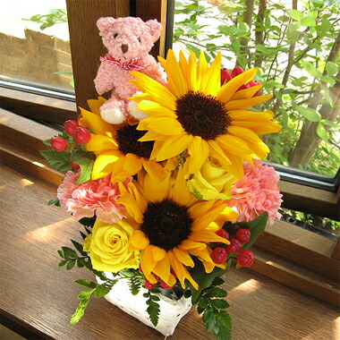 送料 クール便代金込み ヒマワリとクマさんのスクエア アレンジメント 花かご お届けは9月10日まで ひまわり 誕生日 フラワーギフト 花 誕生祝い フラワー アンセリウム ギフト お中元 暑中お見舞い 残暑見舞い Crunchusers Com