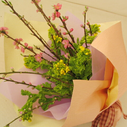 楽天市場 モモと菜の花のブーケ 花束 お届け可能期間 2月16日 3月3日 フラワーショップ アイビーベリー