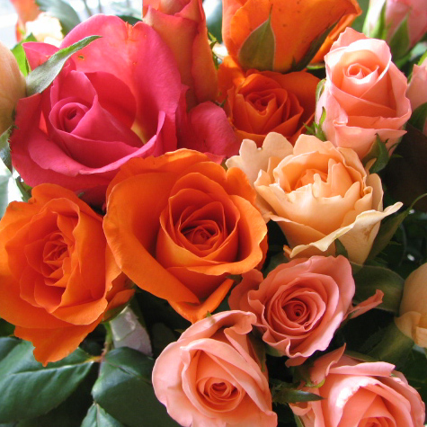 ≪送料込み≫豪華なバラ30本の花束　バラ 誕生日 還暦祝い 花束 プレゼント 花 ギフト 還暦 お祝い 赤バラ 黄バラ ピンクバラ 花束 フラワーギフト