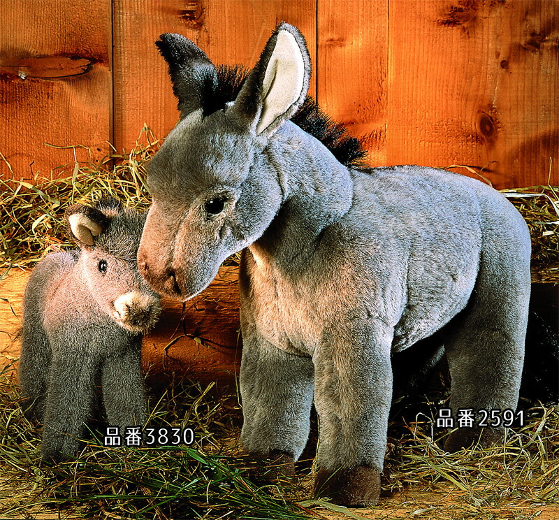 楽天市場 ケーセン ぬいぐるみ Kosen ろば グレー 35cm Donkey リアル 動物 テディベア専門店 アイビールーム