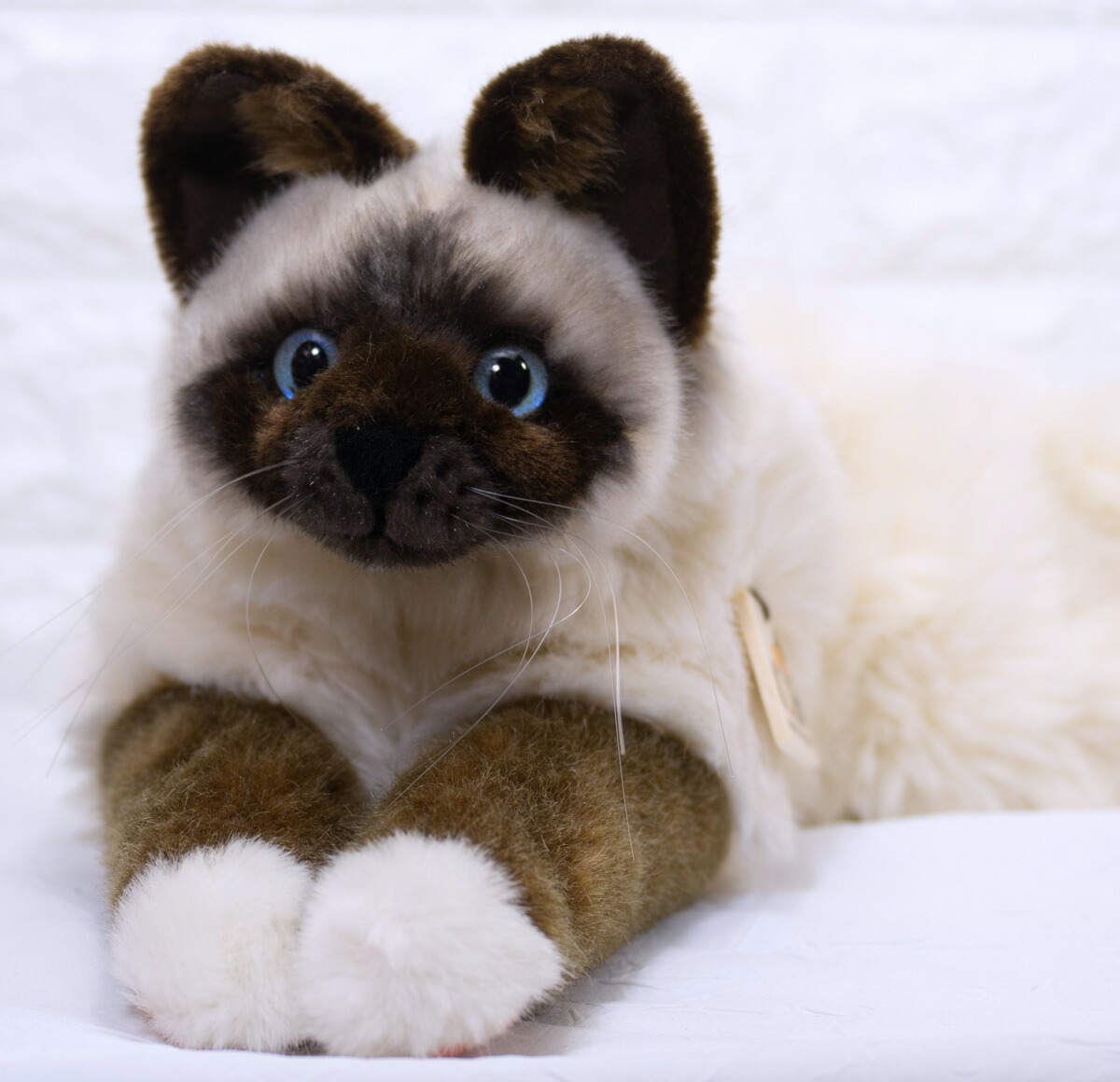 Kosen ぬいぐるみ ケーセン バーマン 50cm ねそべり猫 Cat ケーセン Sina ねこ ぬいぐるみ ねそべり猫 Birman ねこ ネコ 猫 リアル 動物 テディベア専門店 アイビールーム世界一美しいとも言われるkosen ケーセン社 のリアルな動物たちのぬいぐるみ