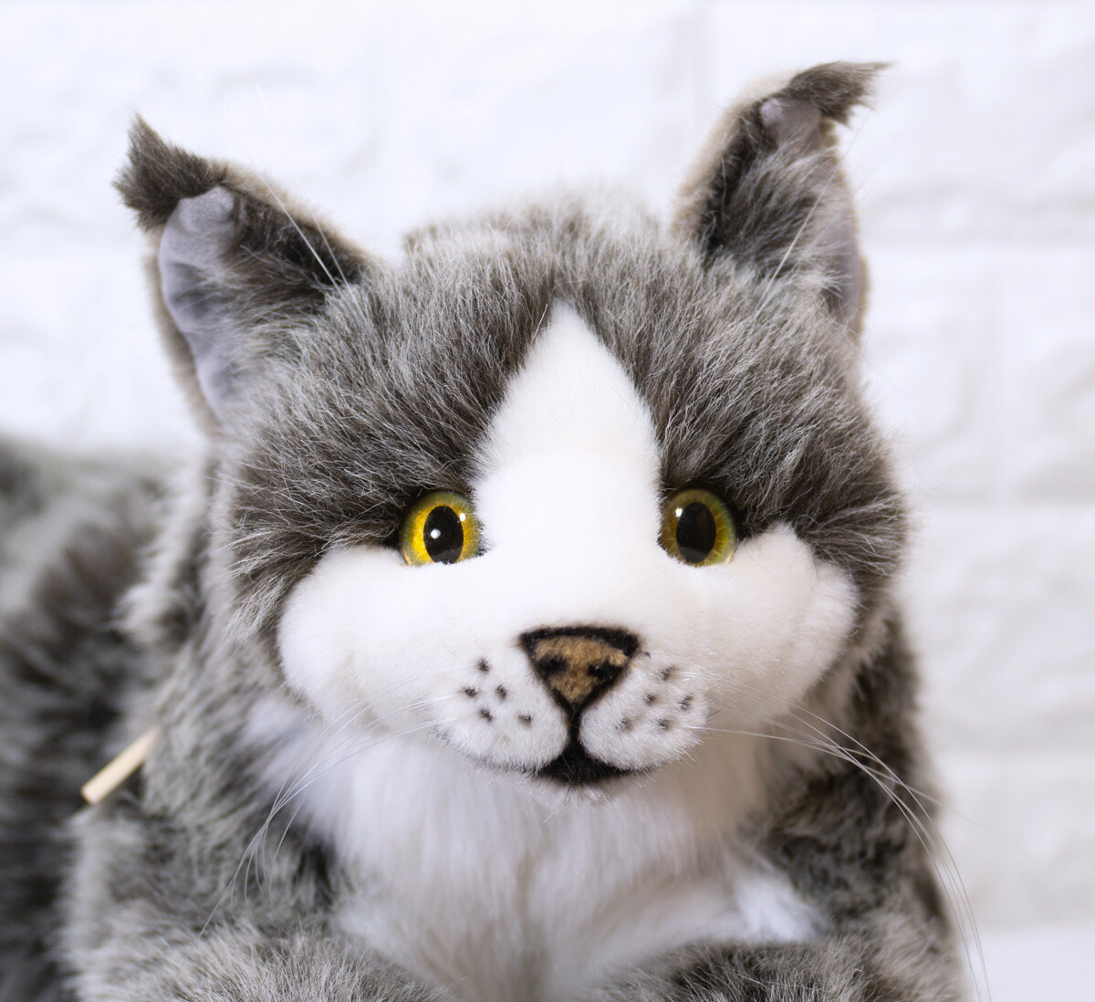 ケーセン ぬいぐるみ Kosen ねそべり猫 大 メインクーン グレー 74cm Maine Coon Coon 74cm Gray Cat Cat ねこ ねこ ネコ 猫 リアル 動物 テディベア専門店 アイビールームケーセン 世界一美しいとも言われるぬいぐるみ達