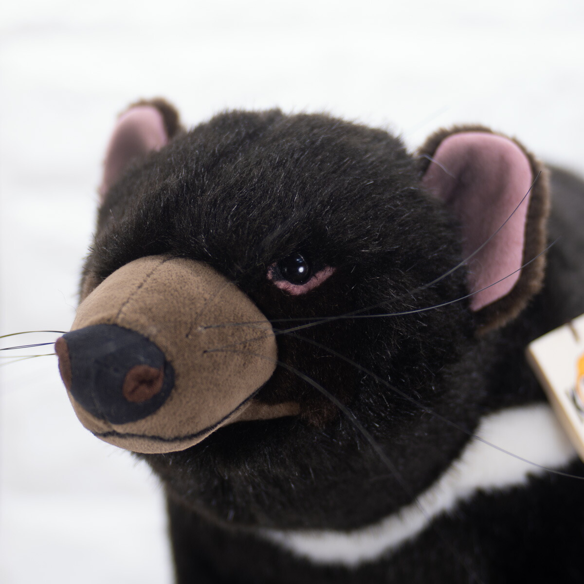 店舗良い 51cm ケーセン Kosen ぬいぐるみ タスマニアデビル リアル Tasmanian 動物 Devil ねこ ぬいぐるみ 人形