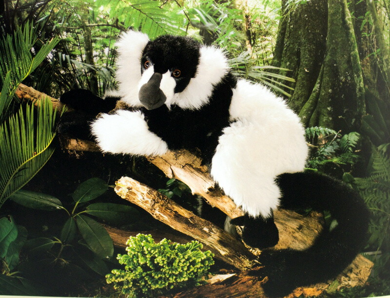 ケーセン ぬいぐるみ Kosen エリマキキツネザル 白黒 52cm Black-and-white Ruffed Lemur 【 レムール 猿 サル  リアル ペット 動物 】
