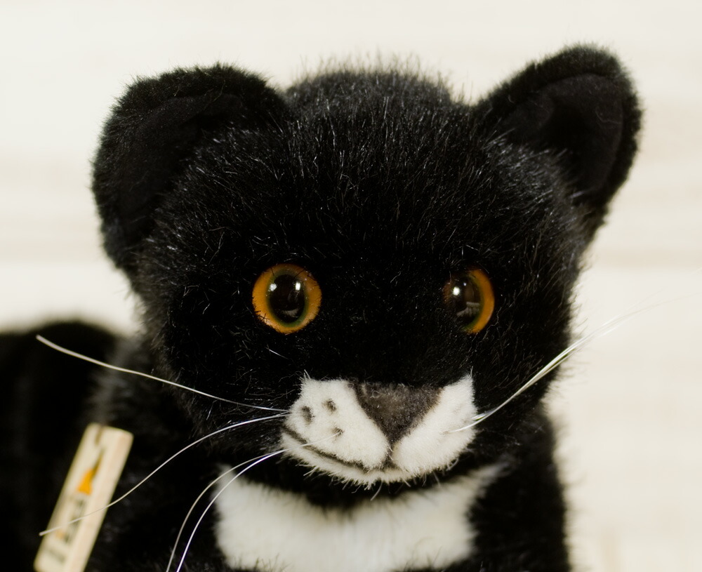 超歓迎 寝そべり猫 黒 ネコ 猫 ねこのぬいぐるみ プレゼント リアル 動物 ギフト 子供 女の子 男の子 大人 クリスマス 寝そべり猫 黒 世界一美しいkosen ケーセン社 のリアルな動物のぬいぐるみ ねこ ネコ 猫 プレゼント リアル 動物 ギフト 子供 女の子 超歓迎 寝そべり猫 黒 ネコ 猫 ねこのぬいぐるみ プレゼント リアル 動物 ギフト 子供 女の子 男の子 大人 クリスマス 寝そべり猫 黒 世界一美しいkosen ケーセン社 のリアルな動物のぬいぐるみ ねこ ネコ 猫 プレゼント リアル 動物 ギフト 子供 女の子