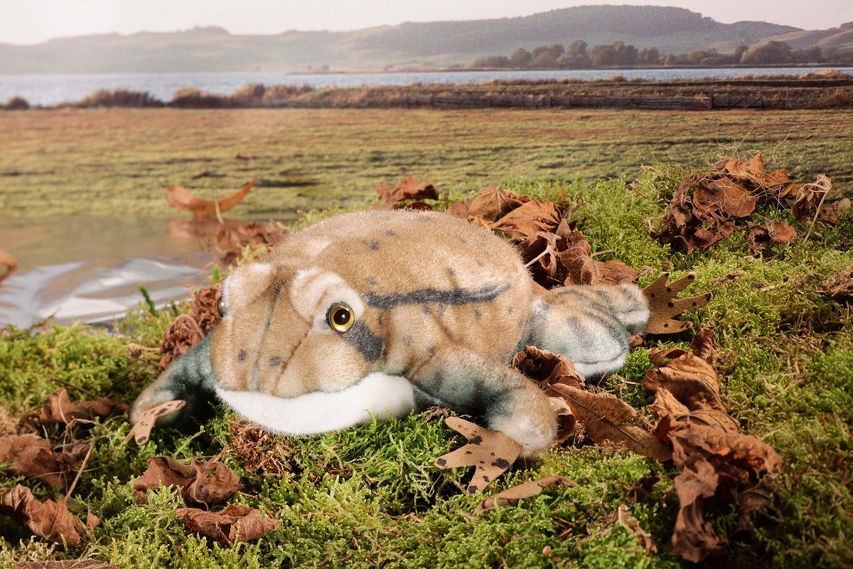 楽天市場】Play Talkin プレイトーキン パペット ぬいぐるみ カエル