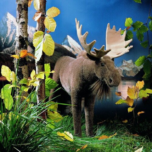 ケーセン ぬいぐるみ Kosen ヘラジカ 44cm Moose 【 エルク 鹿 リアル 動物 】 40,105円