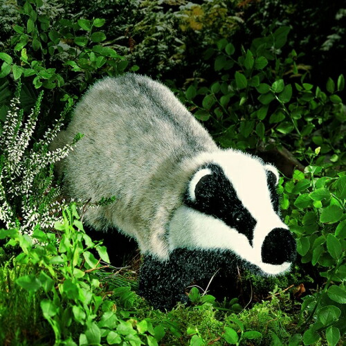 ケーセン ぬいぐるみ Kosen アナグマ 47cm Badger 【 穴熊 あなぐま リアル 動物 】｜テディベア専門店　アイビールーム