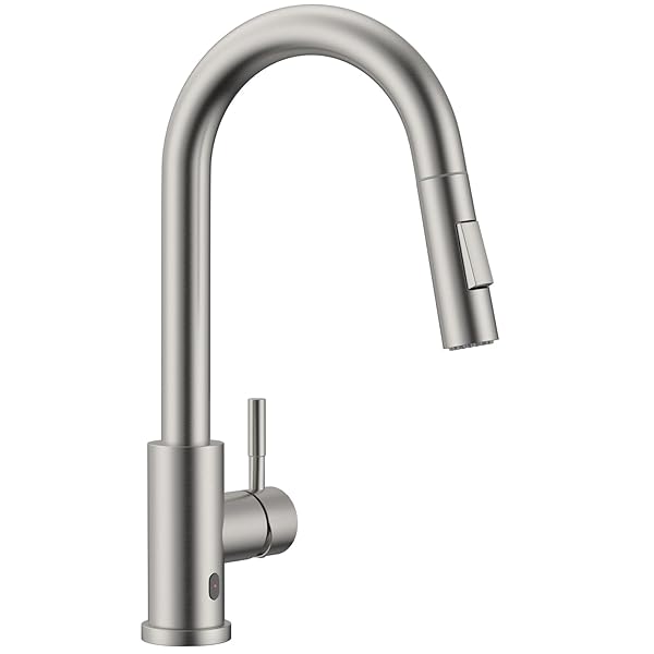タッチレスキッチン水栓 抽き出し式割り増し金感応作用式勝手もと水道の栓 2役立つこと吹きつける付き添い人 360°回