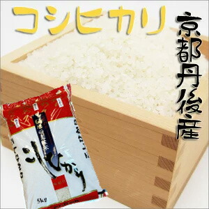 【新米入荷】贈答米　出荷日精米　令和７年京都府産　こしひかり　5kg