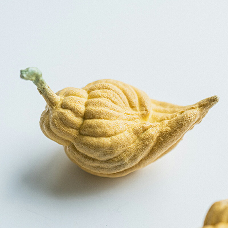 楽天市場】しめ飾り モダン おしゃれ しめ縄 【 仏手柑（ぶっしゅっか