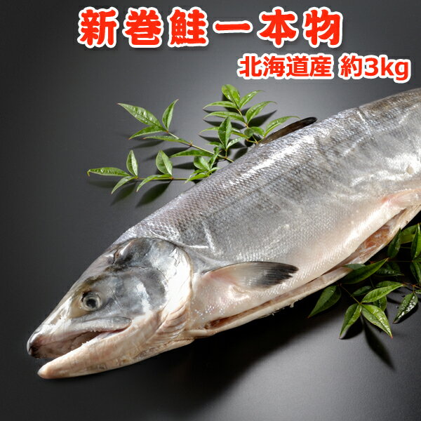 北海道産 新巻鮭一本物（秋鮭） 約3kg 送料無料 化粧箱入  送料無料