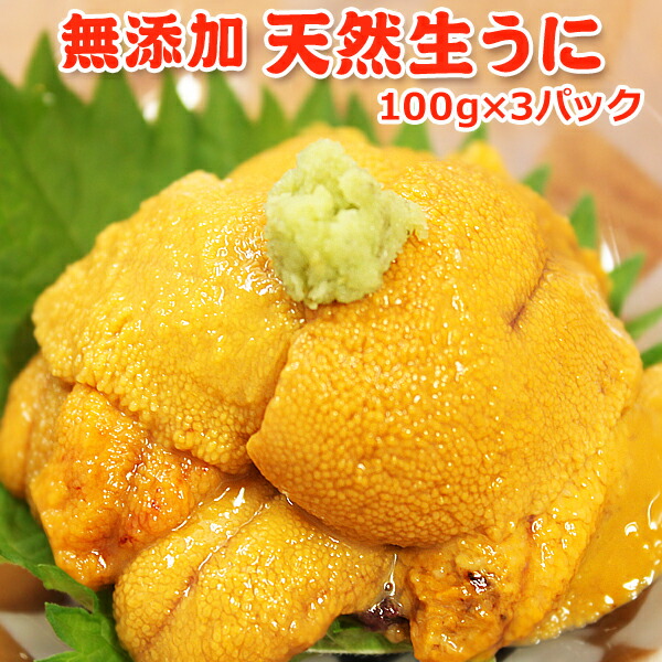 無添加 天然生うに 100g&times;3パック 送料無料