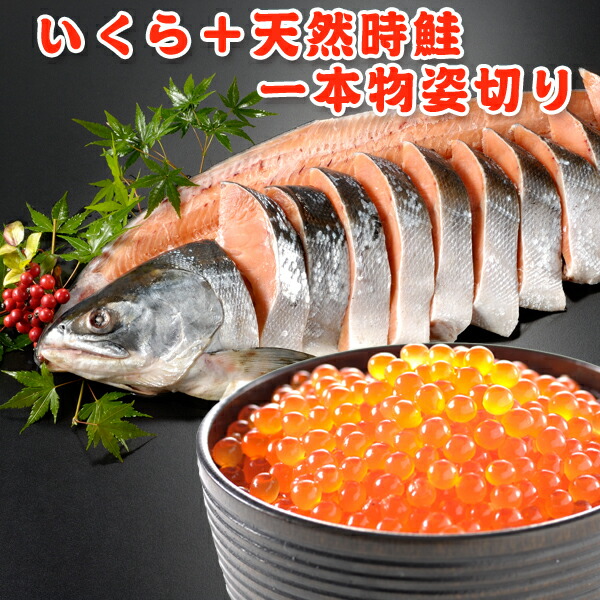 父の日 プレゼント 超得 9,999円！クーポン23％OFF！いくら＋時鮭一本物姿切り 約1.8kg 送料無料 ギフト 化粧箱入 お取り寄せグルメ★数量限定
