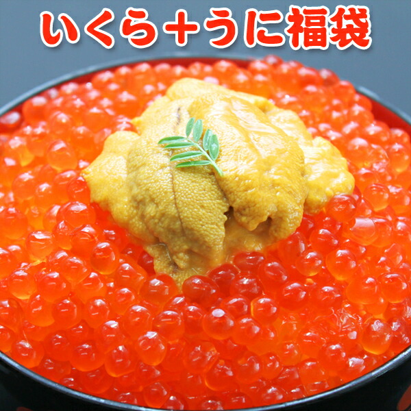 いくら 醤油漬け アラスカ 200g うに 100g 送料無料 福袋 海鮮ギフト 海鮮セット お取り寄せグルメ ギフト プレゼント
