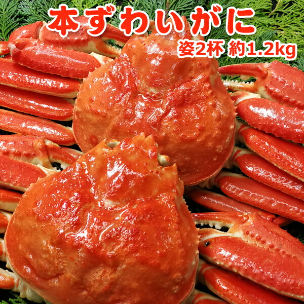 父の日 プレゼント 超得 9,599円！クーポン40％OFF！本 ズワイガニ 姿 2ハイ 約1.2kg 送料無料 ズワイガニ ボイルずわいがに 訳あり お取り寄せグルメ  海鮮 ギフト プレゼント ★数量限定