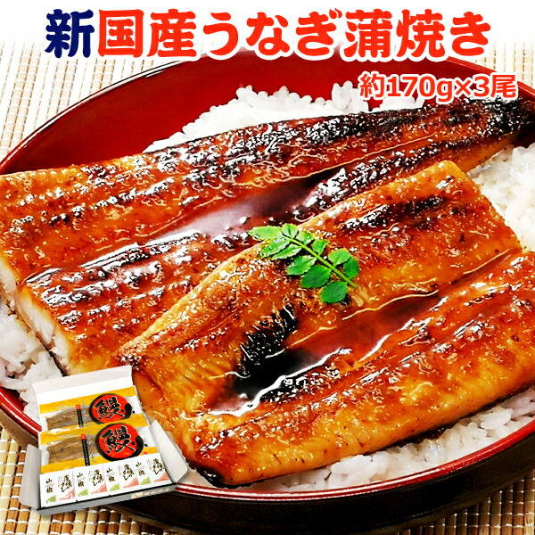 好評 楽天市場 うなぎ 蒲焼 国産 送料無料 特大 約170g 3尾 ギフトボックス付 お取り寄せグルメ サーモン専門店岩松 楽天カード分割 Lexusoman Com 好評 楽天市場 うなぎ 蒲焼 国産 送料無料 特大 約170g 3尾 ギフトボックス付 お取り寄せグルメ サーモン専門店岩松 楽天カード分割 Lexusoman Com