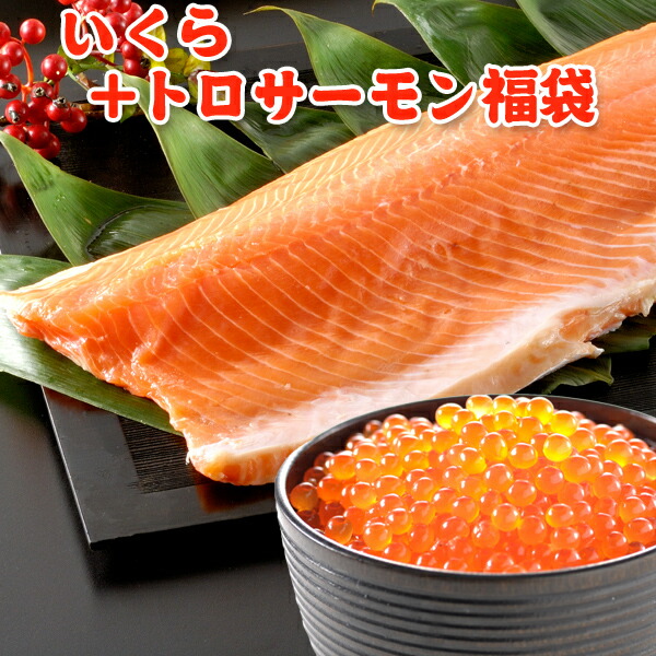 トロサーモン 半身 約800g 刺身用 送料無料 お取り寄せグルメ