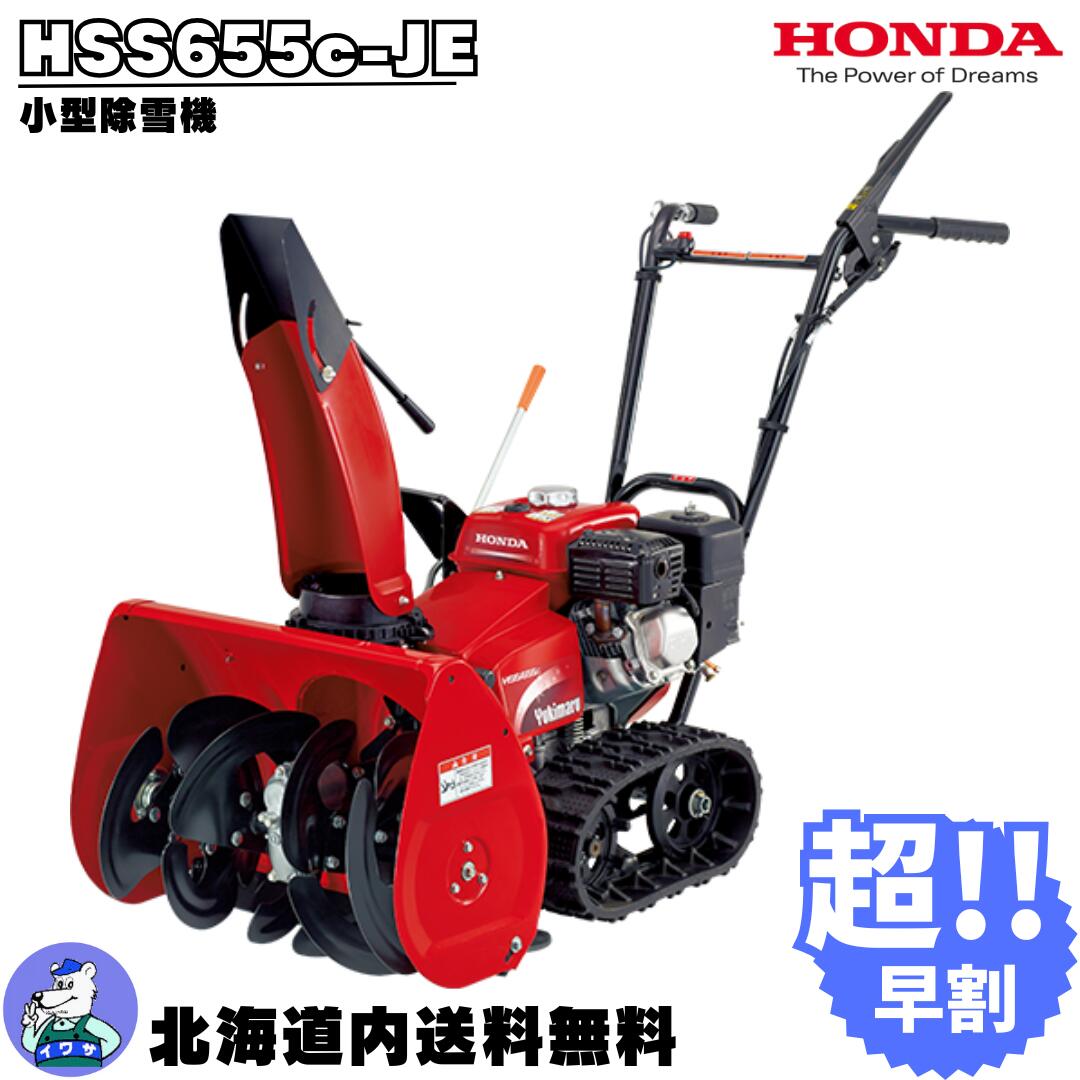 imgrc0299893363.jpg
