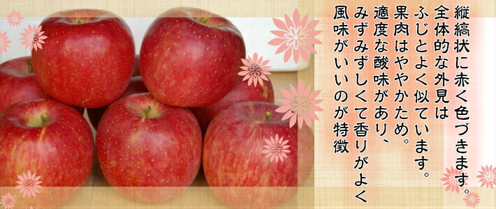 楽天市場 北海道 余市産 早生ふじ 3kg 9 12玉入 岩田青果 売れ筋 りんご リンゴ 林檎 わせふじ 昂林 国産 北海道 産 余市 旬 果物 くだもの 旬 フルーツ ご当地 お取り寄せ プレゼント 贈り物 贈物 贈答 用 お歳暮 ギフト 御歳暮 ギフト
