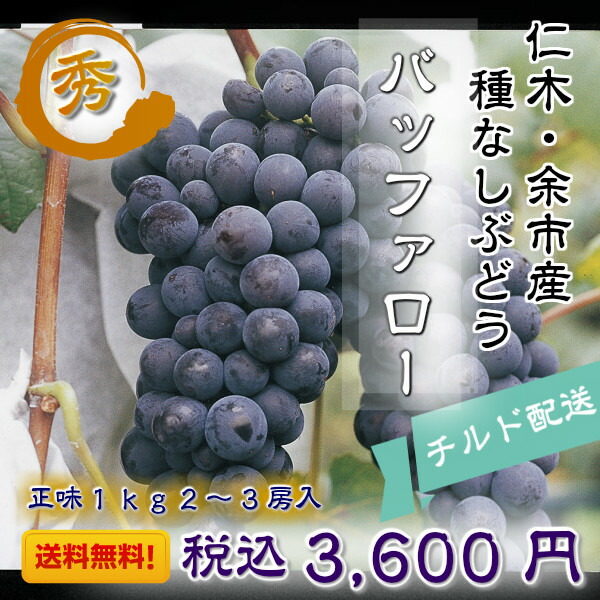 楽天市場 送料無料 数量限定 仁木 余市産 バッファロー 秀品 Lサイズ 1ｋｇ ぶどう ブドウ 葡萄 種なし ぶどう 種無し ぶどう 皮ごと 果物 くだもの フルーツ 旬 人気 売れ筋 北海道 産 余市 仁木 お取り寄せ ご当地 プレゼント 贈り物 ギフト 2箱購入で割引あり