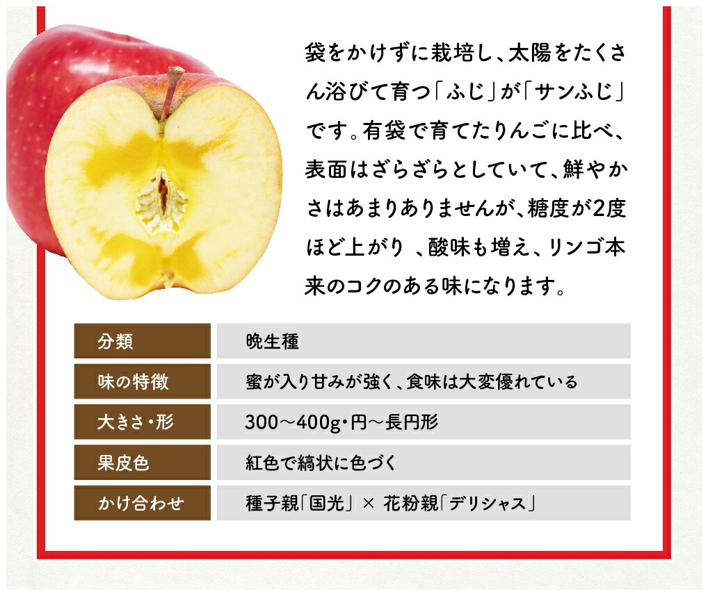 青森県産 特上 サンふじ ギフト用 お取り寄せ 3kg 詰め合わせ 化粧箱 お祝い りんご リンゴ 用 サンふじりんご 林檎 岩田青果 サンフジ  贈り物 おうりん 青森 9〜12玉入 青森りんご くだもの ギフト フルーツ 贈答 プレゼント 御祝 王林 お歳暮 果物 セット 国産 贈物