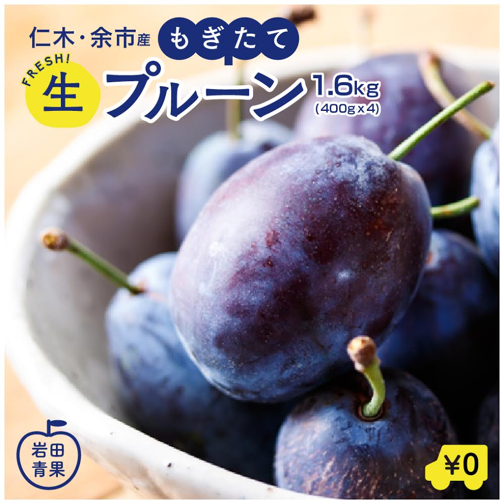 楽天市場 プルーン セイヨウスモモ 約1 6kｇ 24個前後 長野産 西洋すもも 李 京の老舗の果物屋 鳥羽伊三