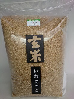 令和７年産★小笠原農園の「いわてっこ」玄米10ｋｇ慣行栽培★送料無料（沖縄除く）数量限定 【岩手県二戸市産・御礼・贈り物・ご家庭用】【米穀検査済１等米100%使用】【RCP】